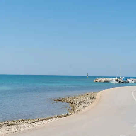 Manda Zadar