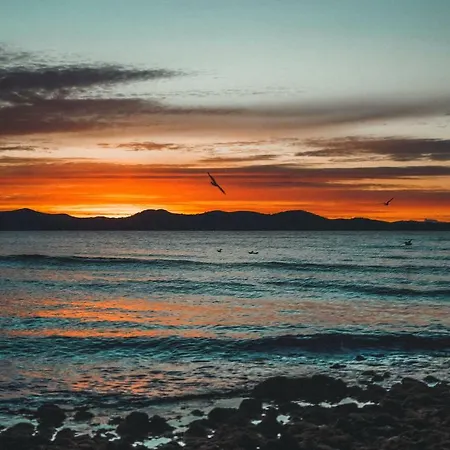 Manda * Zadar
